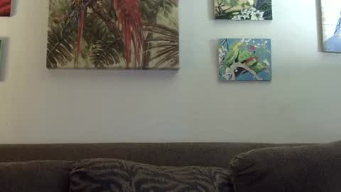 jay-jay1475 online show from 01/21/25, 09:25