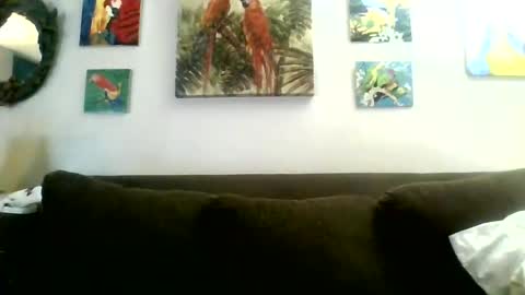 jay-jay1475 online show from 01/30/25, 08:31