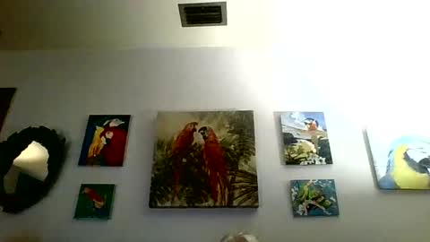 jay-jay1475 online show from 01/31/25, 06:03