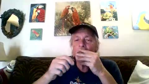 jay-jay1475 online show from 02/08/25, 06:33