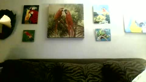 jay-jay1475 online show from 02/17/25, 01:58