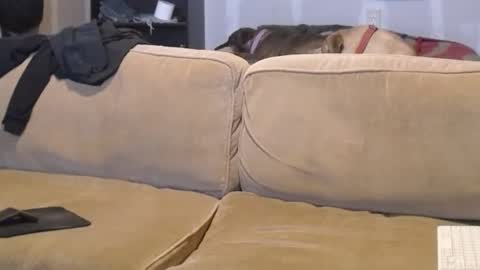 O F   jay short786 online show from 02/17/25, 07:53