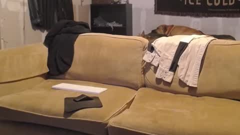 O F   jay short786 online show from 02/19/25, 02:44