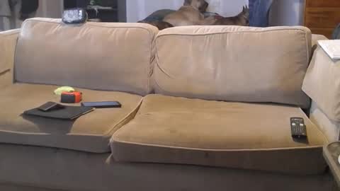 O F   jay short786 online show from 03/01/25, 07:04