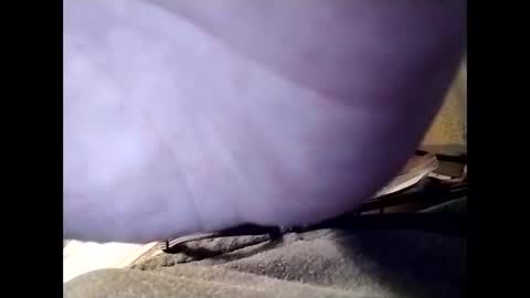 Jaybird online show from 12/25/24, 06:20