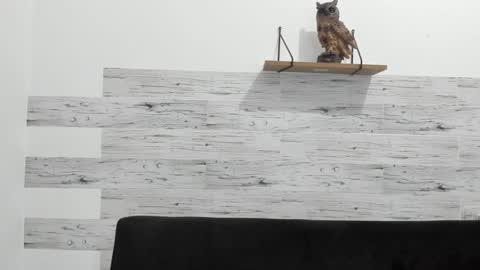 Jaycreedd online show from 01/15/25, 02:38