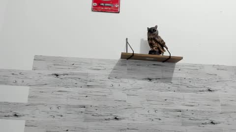 Jaycreedd online show from 02/22/25, 11:24