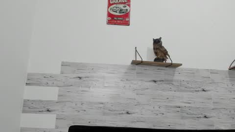 Jaycreedd online show from 03/06/25, 07:25