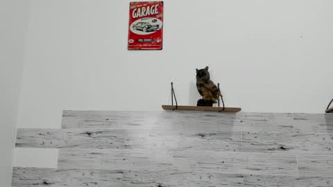 Jaycreedd online show from 03/07/25, 04:46