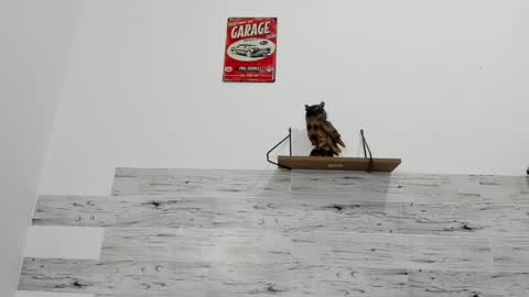 Jaycreedd online show from 10/01/25, 05:02