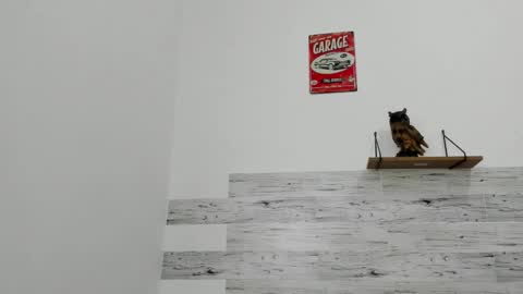 Jaycreedd online show from 11/22/25, 03:22