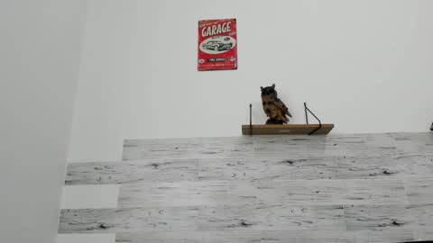 Snapshot of jaycreedd chatting on 03/03/26, 05:08 Jaycreedd online show from 03/03/26, 05:08