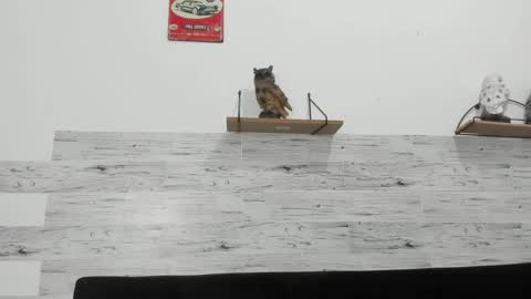 Snapshot of jaycreedd chatting on 03/04/26, 05:13 Jaycreedd online show from 03/04/26, 05:13