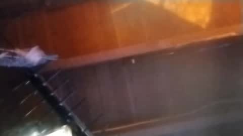 Snapshot of jaydogg6494 chatting on 02/14/25, 10:17 Meetmyfreak online show from 02/14/25, 10:17