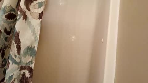 jaywulf22 online show from 11/04/25, 04:33