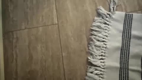 jbigblue online show from 01/11/26, 01:49