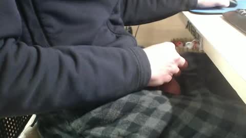 Snapshot of jc200000 chatting on 01/29/25, 06:07 jc200000 online show from 01/29/25, 06:07