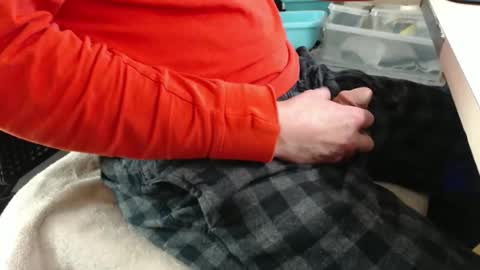 Snapshot of jc200000 chatting on 12/17/25, 09:54 jc200000 online show from 12/17/25, 09:54