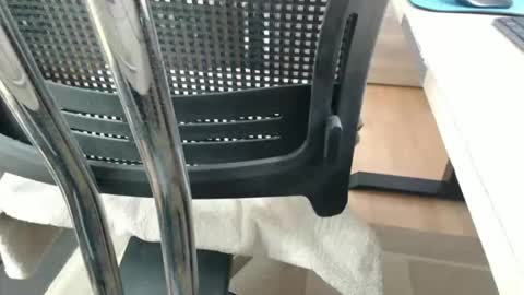 Snapshot of jc200000 chatting on 04/21/26, 05:28 jc200000 online show from 04/21/26, 05:28