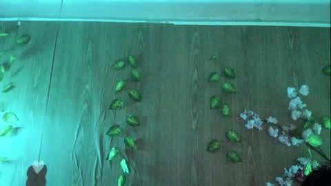 Snapshot of jenelotizz06 chatting on 09/27/25, 06:24 Jenelotizz online show from 09/27/25, 06:24