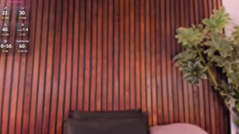     online show from 11/04/25, 01:32