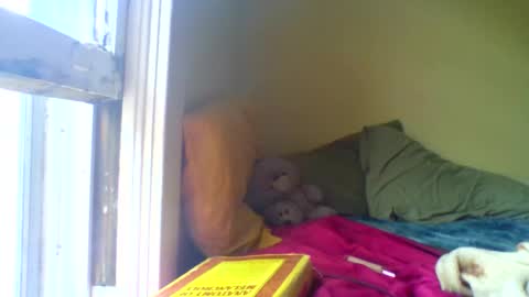 Jenn -  come to my onlyfans online show from 04/17/26, 03:04