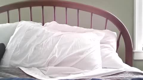 Snapshot of jerkingmanforyou chatting on 03/15/26, 01:39 jerkingmanforyou online show from 03/15/26, 01:39