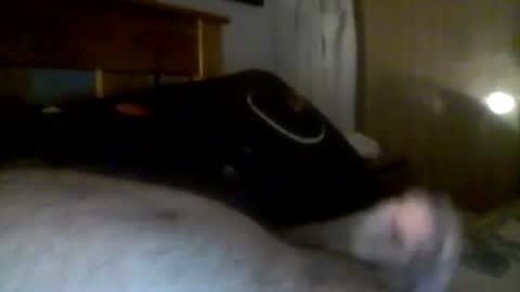 jerkmate6666 online show from 12/21/24, 06:19