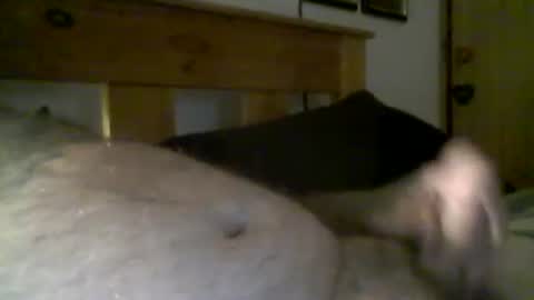 Snapshot of jerkmate6666 chatting on 03/16/26, 08:18 jerkmate6666 online show from 03/16/26, 08:18