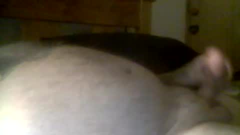 Snapshot of jerkmate6666 chatting on 04/21/26, 11:49 jerkmate6666 online show from 04/21/26, 11:49
