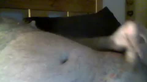 Snapshot of jerkmate6666 chatting on 05/01/26, 10:36 jerkmate6666 online show from 05/01/26, 10:36