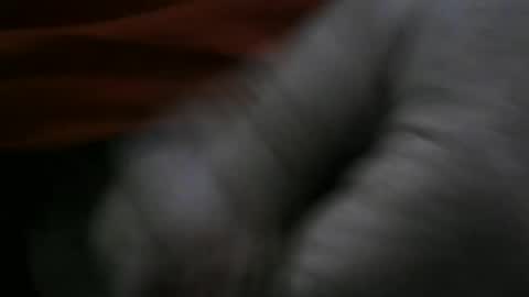 Snapshot of jerom111111111 chatting on 01/02/25, 02:24 jerom111111111 online show from 01/02/25, 02:24