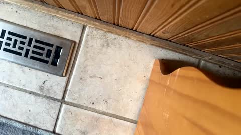 Jeremys room chill and puff one enjoy online show from 09/19/25, 06:30