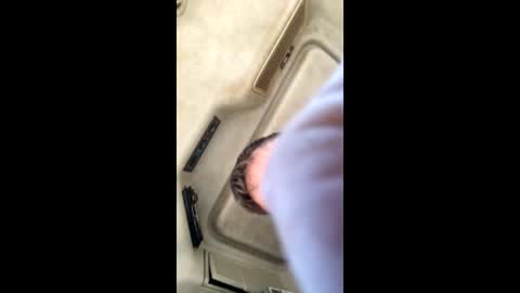 jesaj online show from 11/26/25, 12:50