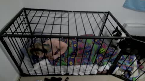 jesdoingnsfw online show from 03/17/26, 02:27