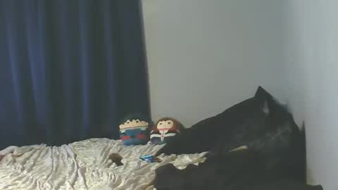 Sissy Jessica online show from 01/08/26, 06:05