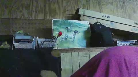 Snapshot of jessiehammerdik chatting on 03/06/25, 06:19 Dixon Cider online show from 03/06/25, 06:19