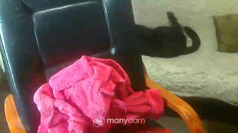 Snapshot of jessjess4you chatting on 02/02/25, 06:04 jessjess4you online show from 02/02/25, 06:04