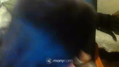 Snapshot of jessjess4you chatting on 02/15/25, 11:47 jessjess4you online show from 02/15/25, 11:47