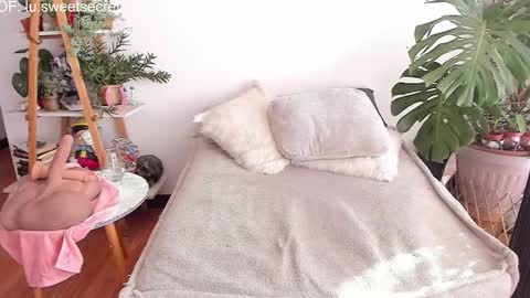 JessyLu online show from 11/19/25, 07:47