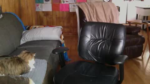 Snapshot of jettadude5 chatting on 01/25/25, 06:02 jettadude5 online show from 01/25/25, 06:02