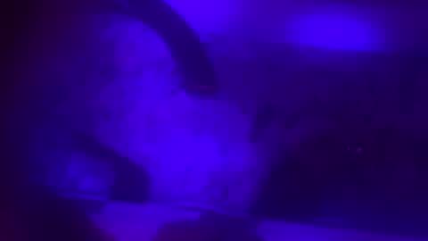 Snapshot of jfargo1990 chatting on 02/08/25, 10:07 Jessica online show from 02/08/25, 10:07