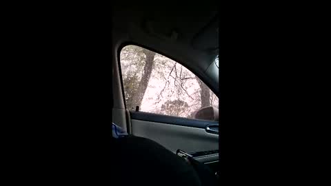 jgthagr8 online show from 03/04/26, 01:28