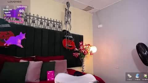 jhos online show from 11/04/25, 02:49