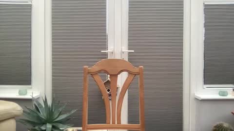 Jigz1986 online show from 02/10/25, 03:53