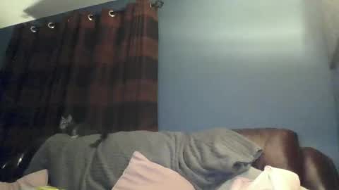 jilfyj online show from 03/15/26, 12:49