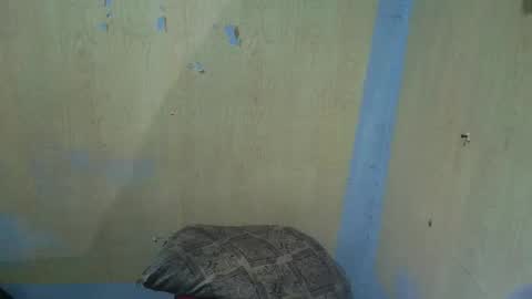 jillian_fuckdoll online show from 12/22/25, 02:58