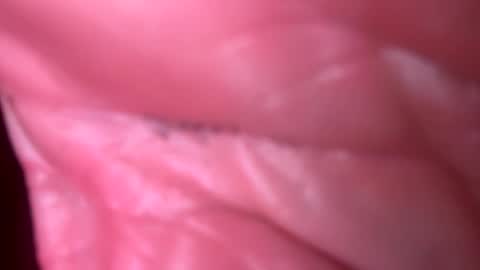 jim2233442211 online show from 11/04/25, 06:12