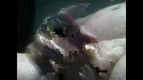 Snapshot of jimboluv488 chatting on 12/18/24, 02:10 jimboluv488 online show from 12/18/24, 02:10