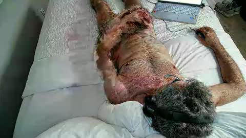 Snapshot of jimjimjim2633 chatting on 04/02/26, 12:52 jimjimjim2633 online show from 04/02/26, 12:52